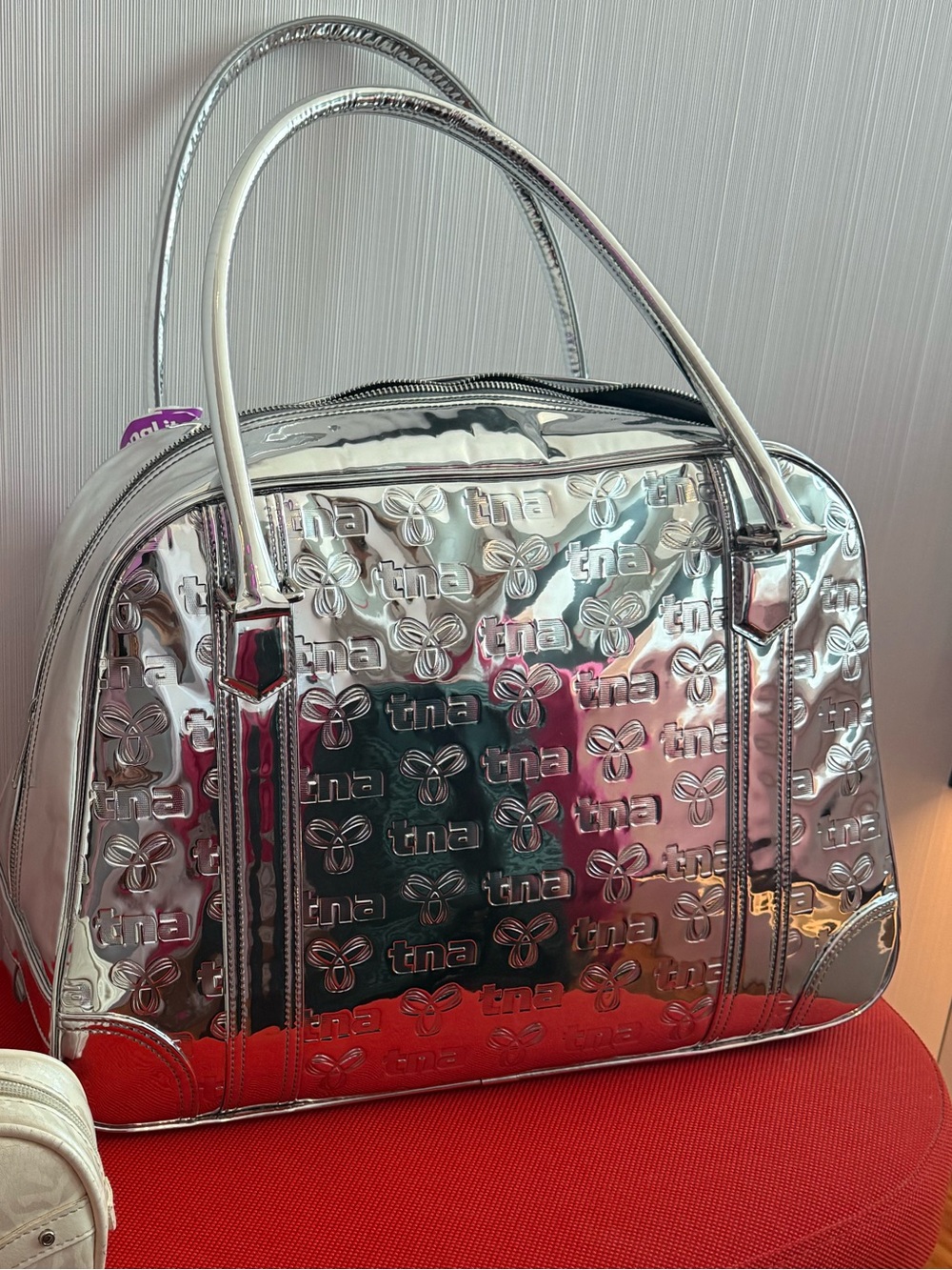 Aritzia Silver Metallic Embossed  Travel Bag